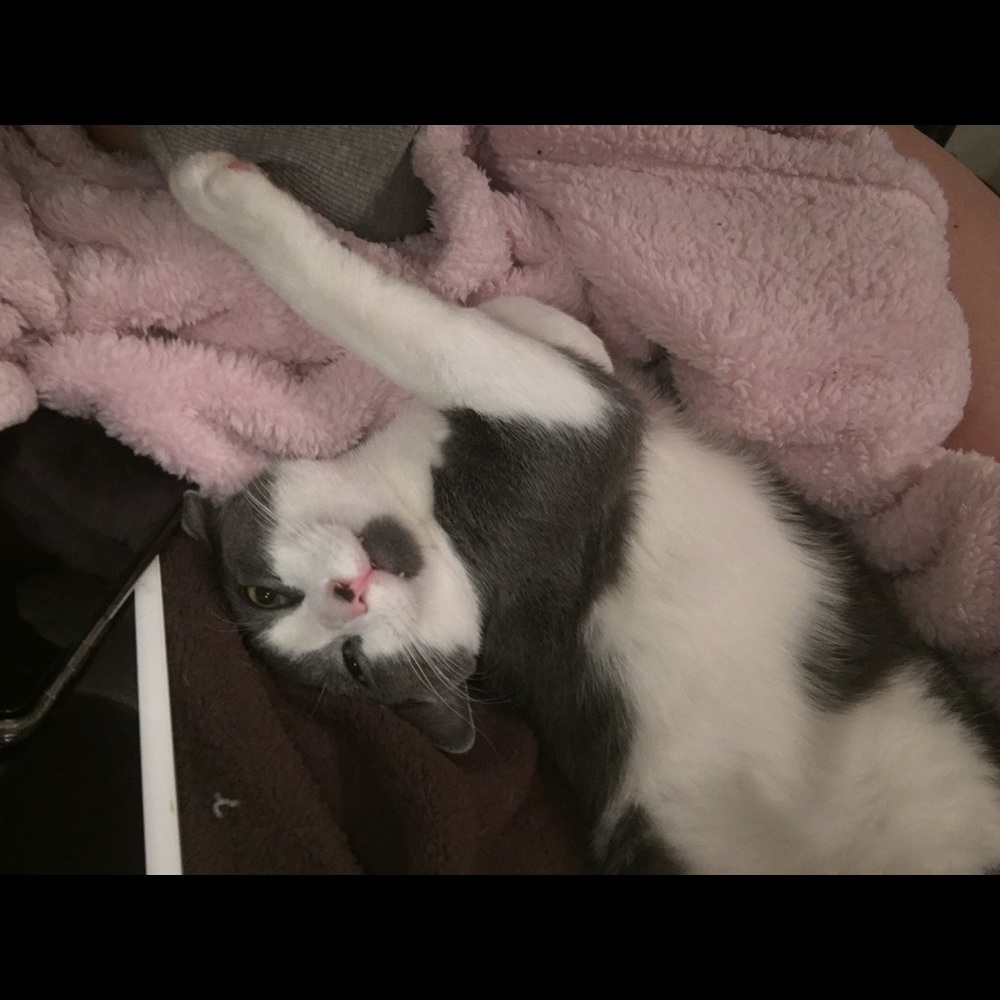 Meet your Posher, Megan